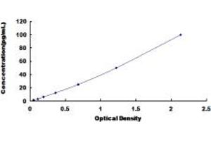 FCER2 ELISA Kit