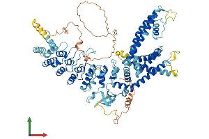 AlphaFold protein structure predicition of Mouse Recombinant Trpv3 Protein, UniprotID Q8K424 (TRPV3 Protein (AA 1-791) (His tag))