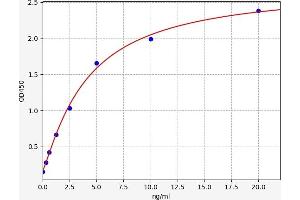 Typical standard curve