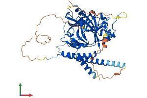 AlphaFold protein structure predicition of Mouse Recombinant Hspbap1 Protein, UniprotID Q8BK58 (HSPBAP1 Protein (AA 1-483) (His tag))