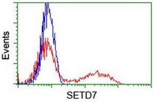 HEK293T cells transfected with either RC219244 overexpress plasmid (Red) or empty vector control plasmid (Blue) were immunostained by anti-SETD7 antibody (ABIN2454914), and then analyzed by flow cytometry. (SETD7 antibody)