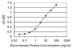 Detection limit for recombinant GST tagged MAP3K7 is 0. (MAP3K7 antibody  (AA 471-579))