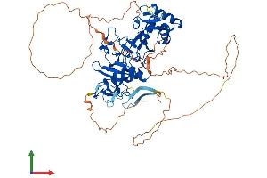 Protein Structure (PS) image for PHD Finger Protein 1 (PHF1) (AA 1-559) protein (His tag) (ABIN7565276)