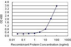 Sandwich ELISA detection sensitivity ranging from 1 ng/mL to 100 ng/mL. (PPP2R3B (Human) Matched Antibody Pair)