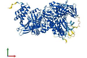 AlphaFold protein structure predicition of Mouse Recombinant Man2c1 Protein, UniprotID Q91W89