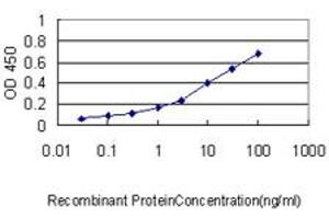 Detection limit for recombinant GST tagged HNRPA2B1 is approximately 0. (HNRNPA2B1 antibody  (AA 1-249))