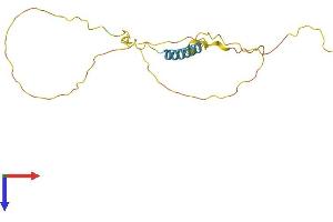 TCEAL3 Protein (AA 1-200) (His tag)