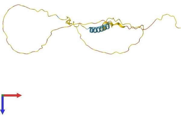 TCEAL3 Protein (AA 1-200) (His tag)