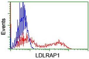 HEK293T cells transfected with either RC206643 overexpress plasmid (Red) or empty vector control plasmid (Blue) were immunostained by anti-LDLRAP1 antibody (ABIN2455229), and then analyzed by flow cytometry. (LDLRAP1 antibody)