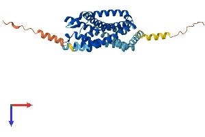 AlphaFold protein structure predicition of Mouse Recombinant Ccr1l1 Protein, UniprotID P51676 (CCR1L1 Protein (AA 1-356) (His tag))