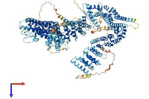 AlphaFold protein structure predicition of Mouse Recombinant Ncapd2 Protein, UniprotID Q8K2Z4 (NCAPD2 Protein (AA 1-1392) (His tag))