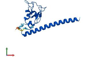 Protein Structure (PS) image for Baculoviral IAP Repeat-Containing 5 (BIRC5) (AA 1-140) protein (His tag) (ABIN7562517)