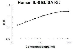 Human IL-8 PicoKine ELISA Kit standard curve (IL-8 ELISA Kit)