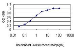 Detection limit for recombinant GST tagged CDX4 is approximately 0. (CDX4 antibody  (AA 71-170))