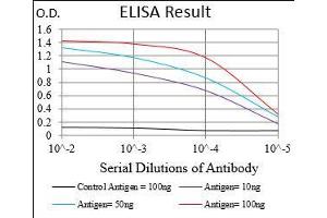 Black line: Control Antigen (100 ng), Purple line: Antigen(10 ng), Blue line: Antigen (50 ng), Red line: Antigen (100 ng), (Nibrin antibody  (AA 467-615))