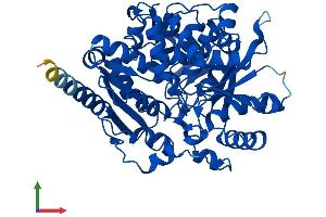 Protein Structure (PS) image for threonine Synthase-Like 2 (THNSL2) (AA 1-484) protein (His tag) (ABIN7544316)
