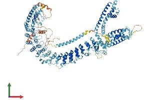 AlphaFold protein structure predicition of Mouse Recombinant Trpa1 Protein, UniprotID Q8BLA8