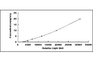 Typical standard curve