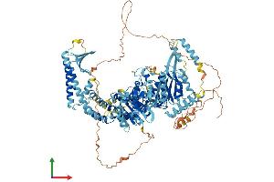 Protein Structure (PS) image for MutS Homolog 4 (E. Coli) (MSH4) (AA 1-958) protein (His tag) (ABIN7564906)