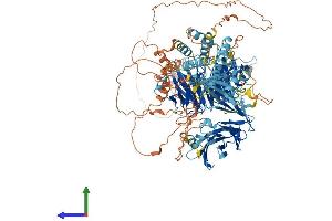 AlphaFold protein structure predicition of Human Recombinant WDR72 Protein, UniprotID Q3MJ13 (WDR72 Protein (AA 1-1102) (His tag))