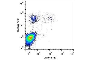 Surface staining of IgE-stimulated human peripheral blood with anti-CD107b (H4B4) PE. (LAMP2 antibody  (PE))