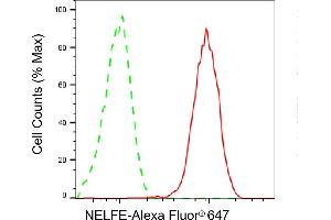 Flow cytometric analysis of NELFE expression in HepG2 cells using NELFE antibody (ABIN7800147), 1:2,000). (Recombinant RDBP antibody)