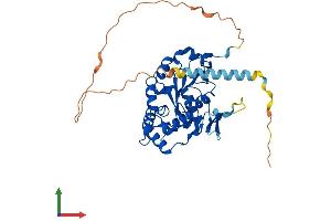 Protein Structure (PS) image for Heparan Sulfate 3-O-Sulfotransferase 2 (HS3ST2) (AA 1-367) protein (His tag) (ABIN7557873)