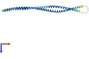 Ankyrin Repeat Domain 20 Family, Member A12, Pseudogene (ANKRD20A12P) (AA 1-263) protein (His tag)