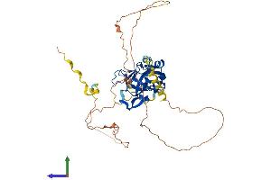AlphaFold protein structure predicition of Mouse Recombinant Tbx20 Protein, UniprotID Q9ES03 (TBX20 Protein (AA 1-445) (His tag))
