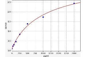 Cardiotrophin-Like Cytokine Factor 1 (CLCF1) ELISA Kit