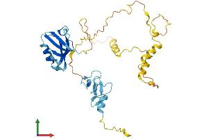 AlphaFold protein structure predicition of Mouse Recombinant Pdlim3 Protein, UniprotID O70209 (PDLIM3 Protein (AA 1-316) (His tag))