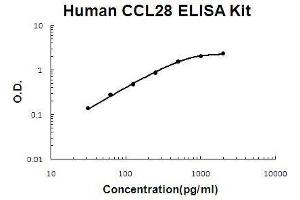 Human CCL28 PicoKine ELISA Kit standard curve (CCL28 ELISA Kit)