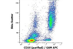 Flow cytometry surface staining pattern of human peripheral whole blood stained using anti-human CD16 (3G8) purified antibody (concentration in sample 2 μg/mL, GAM APC). (CD16 antibody)