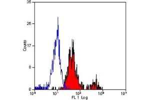 Staining of human peripheral blood platelets with Mouse anti Human CD151 (ABIN118882). (CD151 antibody)