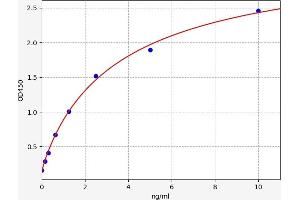 LPAR3 ELISA Kit