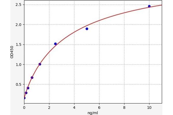 LPAR3 ELISA Kit