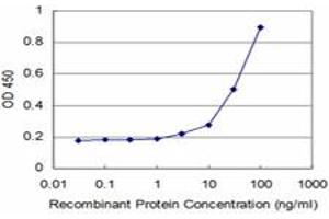 Detection limit for recombinant GST tagged ARX is approximately 1ng/ml as a capture antibody. (Arx antibody  (AA 1-95))