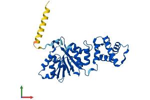 AlphaFold protein structure predicition of Mouse Recombinant Dimt1 Protein, UniprotID Q9D0D4 (DIMT1 Protein (AA 1-313) (His tag))