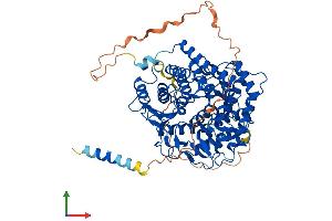 Protein Structure (PS) image for ER Degradation Enhancer, Mannosidase alpha-Like 1 (EDEM1) (AA 1-652) protein (His tag) (ABIN7564872)