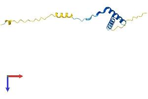Endogenous Retrovirus Group K, Member 19 (ERVK-19) (AA 1-105) protein (His tag)