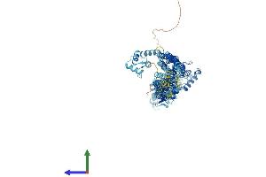 Protein Structure (PS) image for Actinin, alpha 3 (ACTN3) (AA 1-900) protein (His tag) (ABIN7562700)
