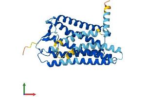 AlphaFold protein structure predicition of Human Recombinant OR10G7 Protein, UniprotID Q8NGN6 (OR10G7 Protein (AA 1-311) (His tag))
