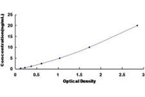 Typical standard curve (EPSTI1 ELISA Kit)