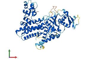 AlphaFold protein structure predicition of Mouse Recombinant Dalrd3 Protein, UniprotID Q6PJN8