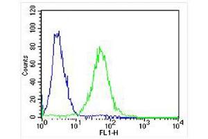 Overlay histogram showing ZF4 cells stained with (ABIN6242157 and ABIN6578316) (green line). (Adenylate Kinase 2 antibody  (N-Term))