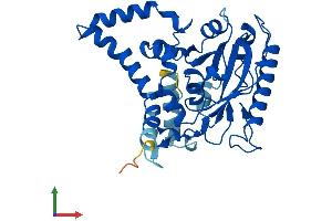 AlphaFold protein structure predicition of Mouse Recombinant Dgat2l6 Protein, UniprotID A2ADU8 (DGAT2L6 Protein (AA 1-337) (His tag))
