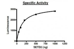 Set2 activity assay.