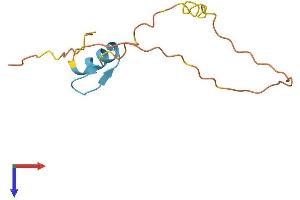 Protein Structure (PS) image for Zinc Finger Protein 861, Pseudogene (ZNF861P) (AA 1-105) protein (His tag) (ABIN7545505)