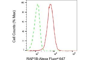 Flow cytometric analysis of RAP1B expression in HepG2 cells using RAP1B antibody (ABIN7800134), 1:2,000). (Recombinant RAP1B antibody)