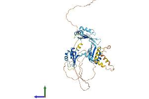 AlphaFold protein structure predicition of Mouse Recombinant Celf2 Protein, UniprotID Q9Z0H4 (CELF2 Protein (AA 1-508) (His tag))
